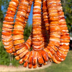 May include: Close-up of a necklace made of orange and white shell beads. The beads are flat, round, and strung together, creating a layered effect. The necklace is displayed against a blurred green and blue background.