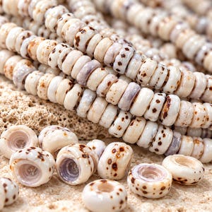 Puede incluir: Una colección de pequeñas cuentas redondas en forma de disco hechas de conchas naturales. Las cuentas presentan un acabado liso y pulido con una paleta de colores blanco roto, crema y bronceado claro, acentuadas por patrones y manchas marrones.