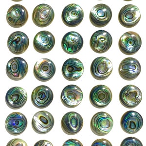 Gem-Quality New Zealand Abalone Shell (Gorgeous Thick Nacre- Exquisite Luster & Iridescent Matrix) 12mm Flat-Back Coin Cabochons (35 Pieces)