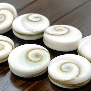 May include: A collection of white, round, polished seashells with a brown and green spiral pattern. The shells are arranged in a row on a wooden surface.