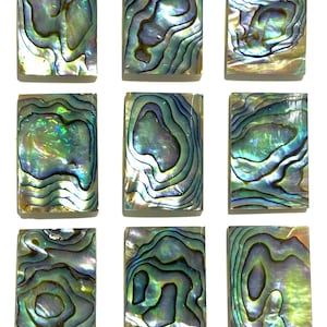 Gem-Quality New Zealand Abalone (Gorgeous Thick Nacre- Exquisite Luster & Iridescent Matrix) 20X30mm Rectangle Cabochons (9 Pieces)