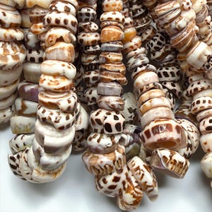 May include: A collection of multiple strands of small, disc-shaped sea shells arranged vertically. Each shell features a smooth, polished surface with a distinct pattern of brown spots, stripes, or mottled markings against a creamy white base.