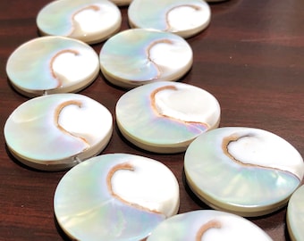 Harmony-Line Nautilus Shell Beads with Iridescent Flash - Thick Nacre & High Luster (Among the World&#39;s Rarest Shells) Metallic-Silver Coin