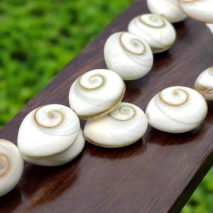 May include: A strand of white and brown shell beads with a spiral pattern. The beads are arranged in a line on a dark brown wooden surface.