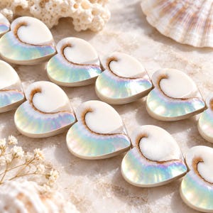 May include: A collection of heart-shaped beads carved from white shell, each featuring a smooth, iridescent surface with a natural pearlescent sheen and a distinct, curved brown spiral pattern centered on the upper portion of the heart shape.