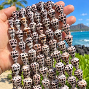 May include: A collection of cone-shaped seashells arranged in multiple vertical strands. Each shell features a smooth, polished surface with a distinct pattern of dark brown to black rectangular spots against a light cream and tan background.