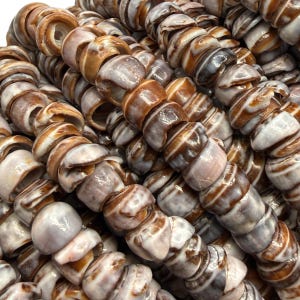 May include: A collection of small, spiraled sea shell beads arranged in multiple parallel strands. Each bead features a polished, glossy finish with alternating bands of dark brown and creamy white, showcasing natural organic textures and shapes.