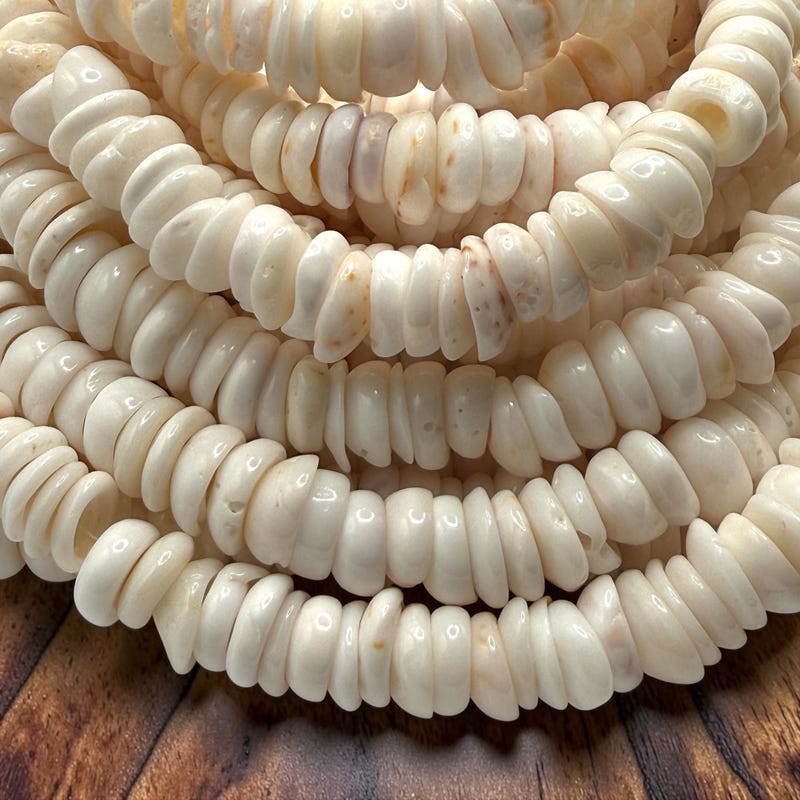 Shells Conch Necklace - Etsy