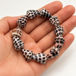 May include: A bracelet composed of eleven cone-shaped seashells arranged in a circular pattern. Each shell features a light pinkish-white base colour with a distinct pattern of dark brown to black rectangular spots. One shell displays a smooth brown band.