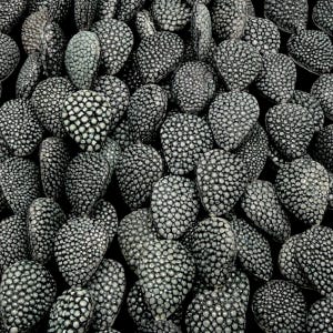 May include: A collection of numerous teardrop-shaped cabochons featuring a textured, pebbled surface in shades of charcoal gray and off-white. Each individual piece displays a dense, raised pattern of small, rounded nodules resembling stingray skin.