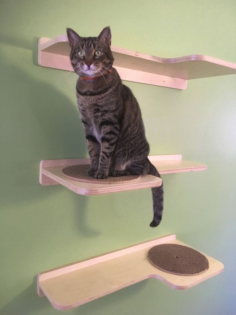 Pair of Cat Shelves With Replacable Cardboard Scratch Pads - Etsy