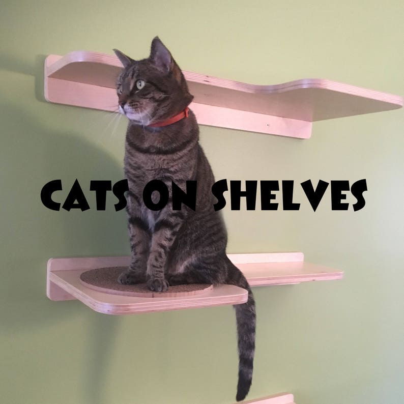 Pair of Cat Shelves With Replacable Cardboard Scratch Pads - Etsy