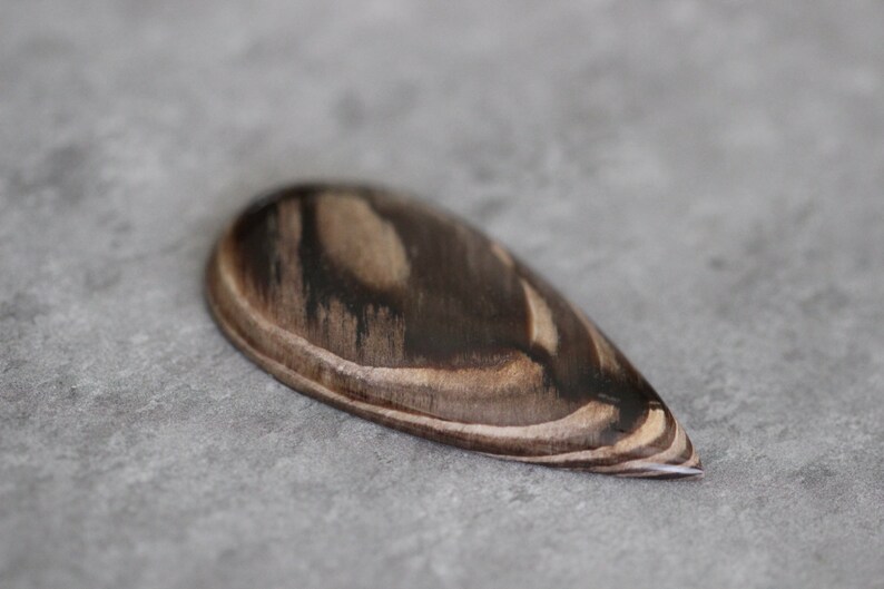 Brown Stone Creek Designer Statement Opalized Wood Neutral Teardrop Cabochon Beige White Large Petrified Australia Cab Fossil