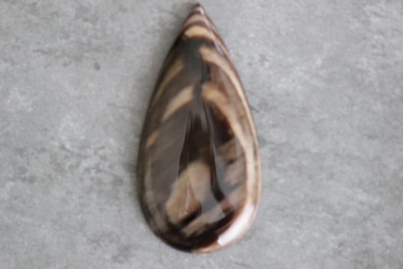 Brown Stone Creek Designer Statement Opalized Wood Neutral Teardrop Cabochon Beige White Large Petrified Australia Cab Fossil