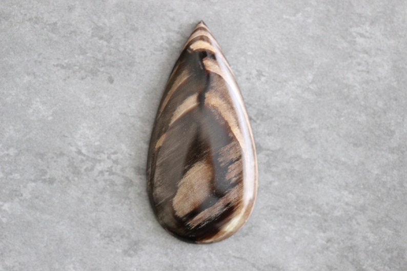 Brown Stone Creek Designer Statement Opalized Wood Neutral Teardrop Cabochon Beige White Large Petrified Australia Cab Fossil