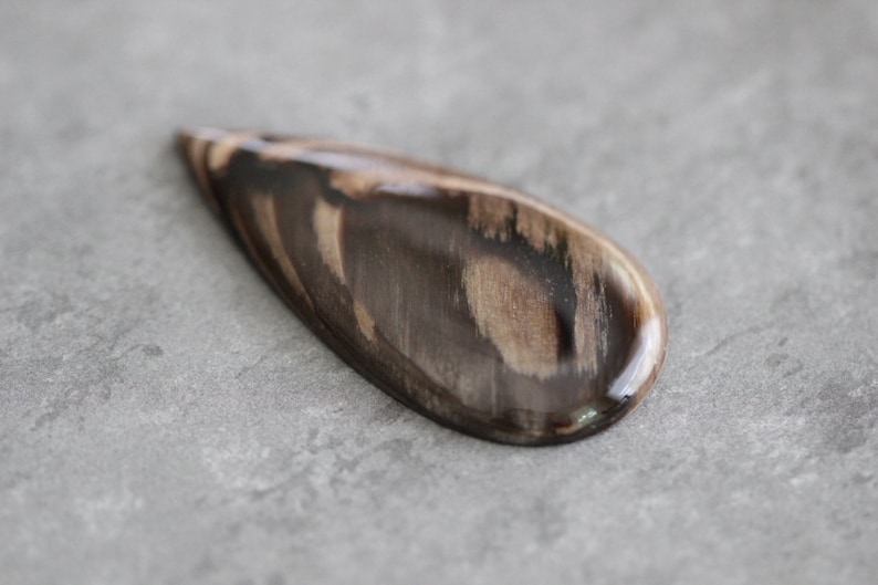 Brown Stone Creek Designer Statement Opalized Wood Neutral Teardrop Cabochon Beige White Large Petrified Australia Cab Fossil