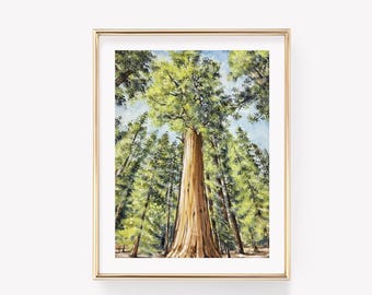Sequoia National Park Watercolor Print. Giant Sequoia Art. Forest Art. US National Parks Decor