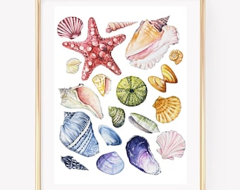 Rainbow Seashells Watercolor. Shells Wall Art. Nautical decor. Beach Wall Art. Sea Shells Decor. Beach House Decor.