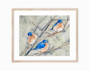 Blue Birds watercolor print. Bluebird art. Bird Watercolor art. Backyard Birds Art.