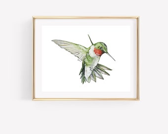 Hummingbird watercolor print. Ruby Throated Hummingbird art. Bird Watercolor art. Backyard Birds Art. Bird Nursery art.