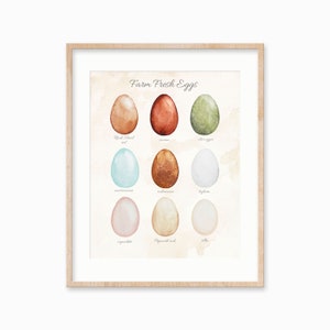 Chicken egg colors watercolor art. Farmhouse decor. Farmhouse wall art. Chicken decor.