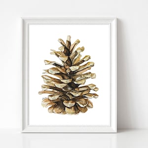 READY TO SHIP Pine cone watercolor print