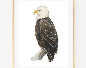 Bald Eagle watercolor print. Bald Eagle art. Bird Watercolor art. Bald Eagle decor.