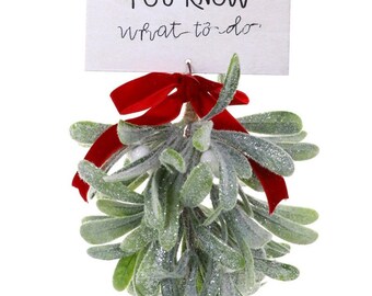 You Know What To Do Hanging Mistletoe Cody Foster