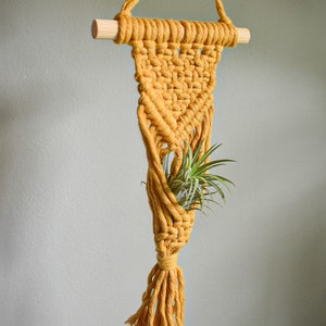 May include: A mustard yellow macrame plant hanger with a wooden dowel at the top and a tassel at the bottom. A small air plant is hanging in the planter.