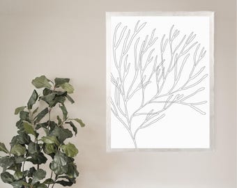 Modern Coastal Art | Beach Decor Sea Botanical Artwork in Gray & White Art | "Minimalist Seaweed Illustration, No. 1" - Art Print or Canvas