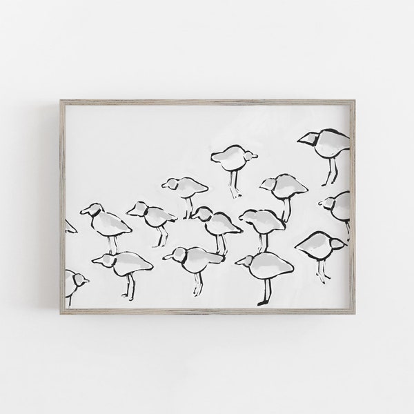 Shore Bird Artwork Piping Plover Decor Modern Minimalist Coastal Art Monochrome Beach | "Black & White Piping Plover" - Art Print or Canvas