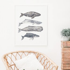 May include: A framed watercolor print of four whales in shades of gray, arranged vertically in a row. The whales are depicted in a realistic style, with detailed features and subtle shading.