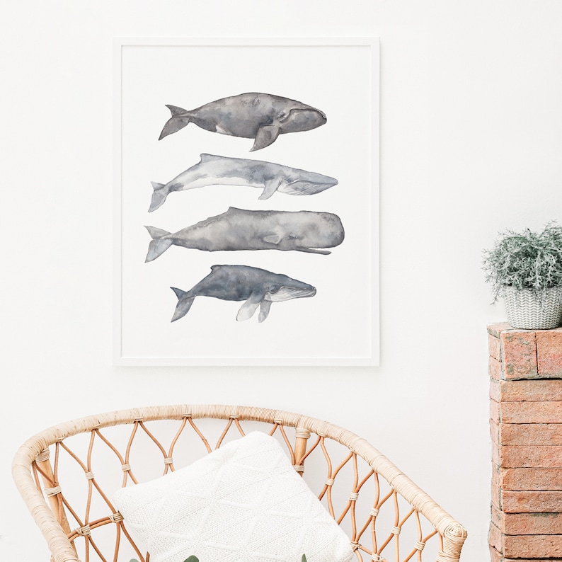 May include: A framed watercolor print of four whales in shades of gray, arranged vertically in a row. The whales are depicted in a realistic style, with detailed features and subtle shading.
