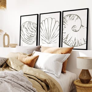 Shell Triptych | "Minimalist Seashell Trio, No. 2" - Set of 3 Art Prints or Canvases
