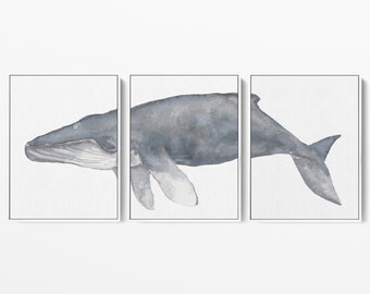 Whale Art Print | Modern Whale Painting Triptych for Coastal Home Decor | "Humpback Whale Watercolor" – Set of 3 – Art Prints or Canvases