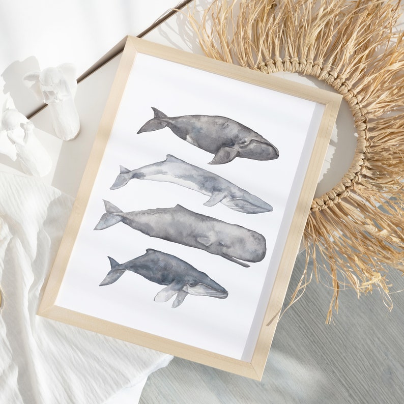 May include: A framed watercolor print featuring five whales of different sizes in shades of gray, with the largest whale at the top and the smallest at the bottom.