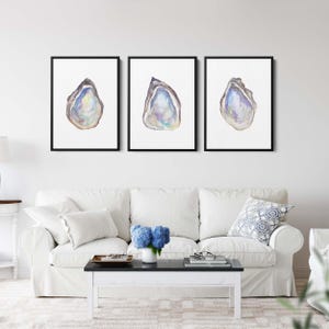 Oyster Watercolor Painting Triptych | Set of 3 - Art Prints or Canvases