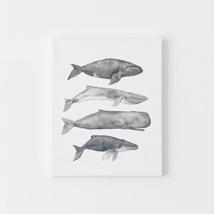 May include: A watercolor painting of four whales in shades of gray and blue. The whales are arranged vertically, with the largest whale at the top and the smallest whale at the bottom.