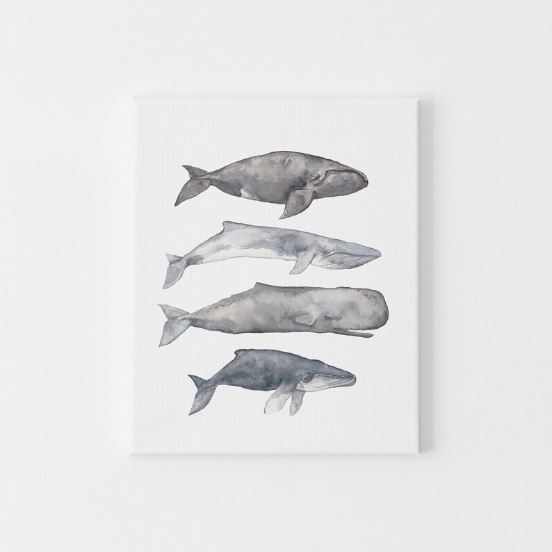 May include: A watercolor painting of four whales in shades of gray and blue. The whales are arranged vertically, with the largest whale at the top and the smallest whale at the bottom.