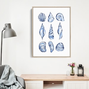 Coastal Seashell Illustration Print | Blue Shell Study for Nautical New England Decor | &quot;Blue Shell Study&quot; – Art Print or Canvas