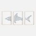 Shark Art Print Nursery Decor Great White Nautical Beach Bathroom Slate Blue and White Triptych Set of Three Prints or Canvases 