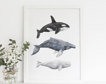 Whale Print Painting Humpback, Orca and Beluga Modern Coastal Decor Beach House Wall Art Print or Canvas