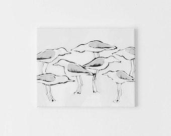 Seagull Art Modern Monochrome Coastal Decor Sea Gull Shore Bird Wall Art | "Black & White Gulls in Waiting" - Art Print or Canvas