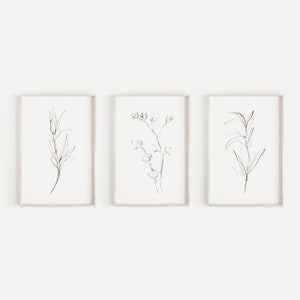 May include: Set of three framed black and white line drawings of botanical illustrations. Each drawing features a different type of plant with delicate leaves and stems.