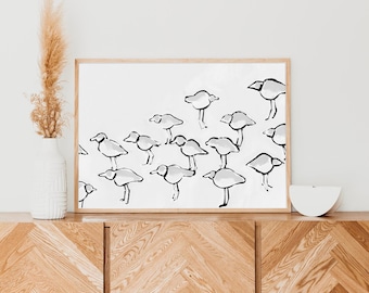 Minimalist Beach Art | "Black & White Piping Plover" - Art Print or Canvas