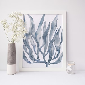 Lámina costera / Arte moderno en coral y azul marino para decoración náutica de playa / "Acuarela azul de algas n.° 2" - Lámina o lienzo
