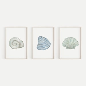 Puede incluir: Conjunto de tres acuarelas de conchas marinas. La primera pintura presenta una concha blanca con forma de espiral. La segunda pintura presenta una concha azul con un patrón de rayas. La tercera pintura presenta una concha verde con un borde festoneado.