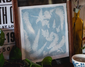 Pastel cyanotype &quot;Fougères&quot;