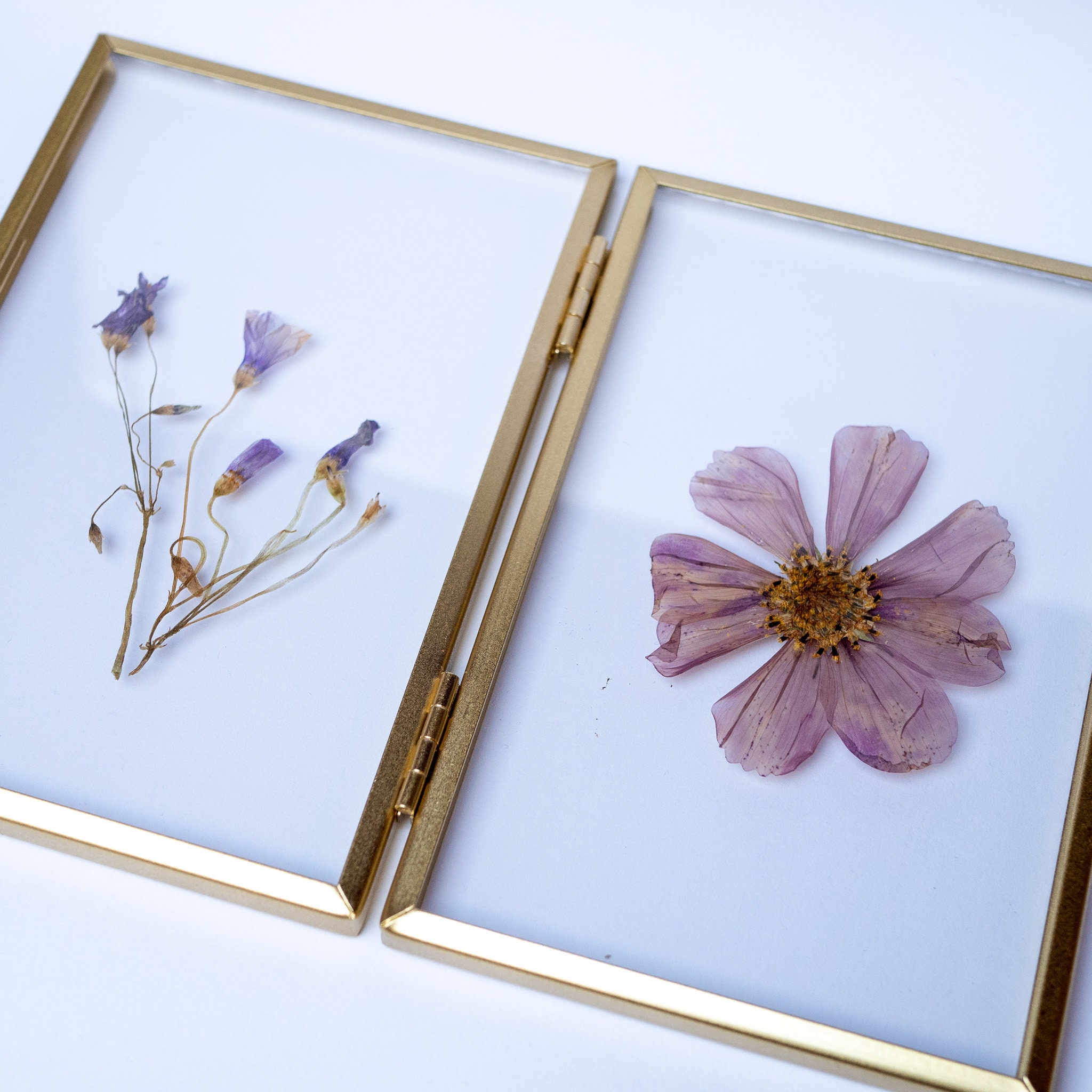 Double Frame of Dried Flowers - Etsy