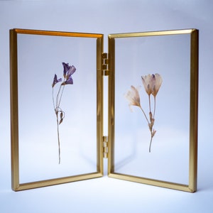 Double frame of dried flowers